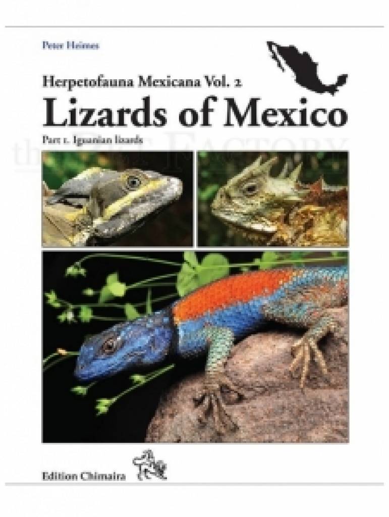 Lizards of Mexico